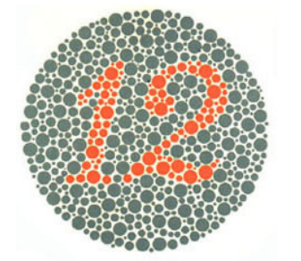 Ishihara test plakası 1